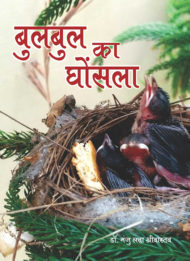 Front-cover-image-of-bulbul-ka-ghosla-dr-manju-lata-shriwastava